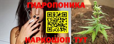 стаф Ливны