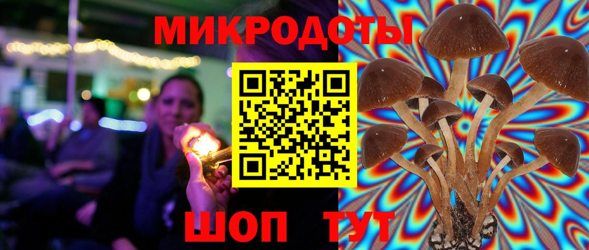 Псилоцибиновые грибы Cubensis Улан-Удэ