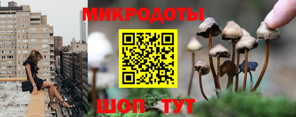 как найти   Вход с VPN  Псилоцибиновые грибы мицелий  Улан-Удэ  Псилоцибиновые грибы прущие грибы 